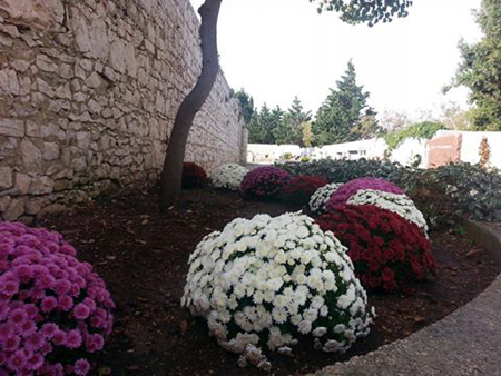 Groblja na području grada Supetra